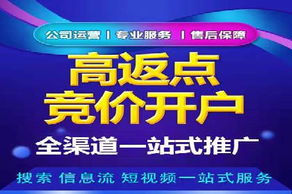 成功案例：网络推广与竞价广告的完美结合